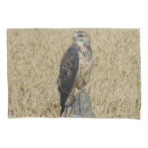 Funda De Cojín B36 Aguililla Ferruginosa en Campo de Trigo