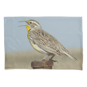 Funda De Cojín B6 Pradera Occidental
