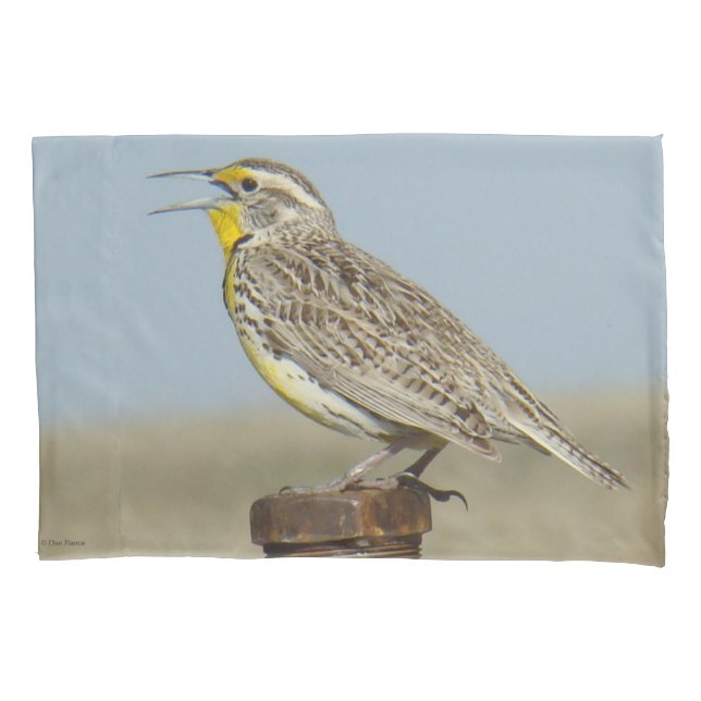 Funda De Cojín B6 Western Meadowlark (Anverso)