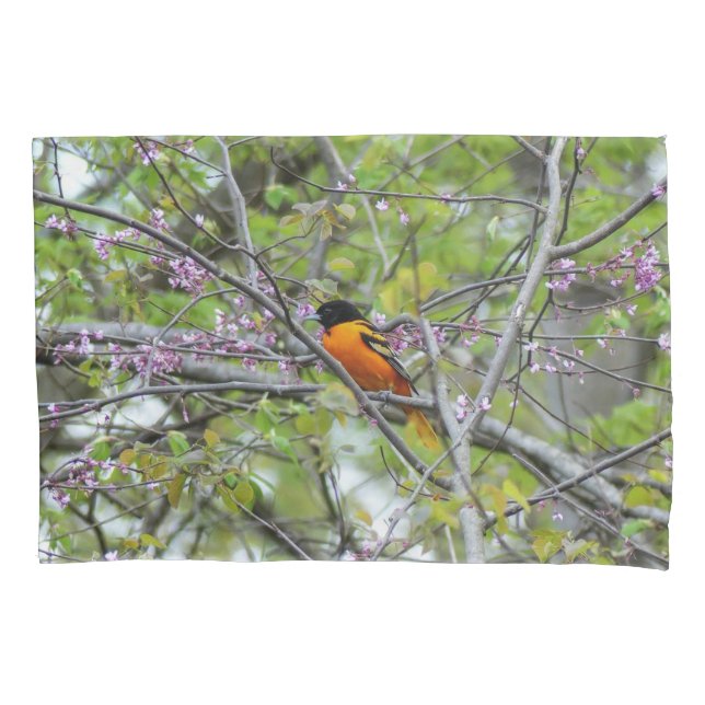 Funda De Cojín Baltimore Oriole (Anverso)