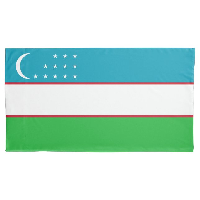 Funda De Cojín Bandera de Uzbekistán (Anverso)