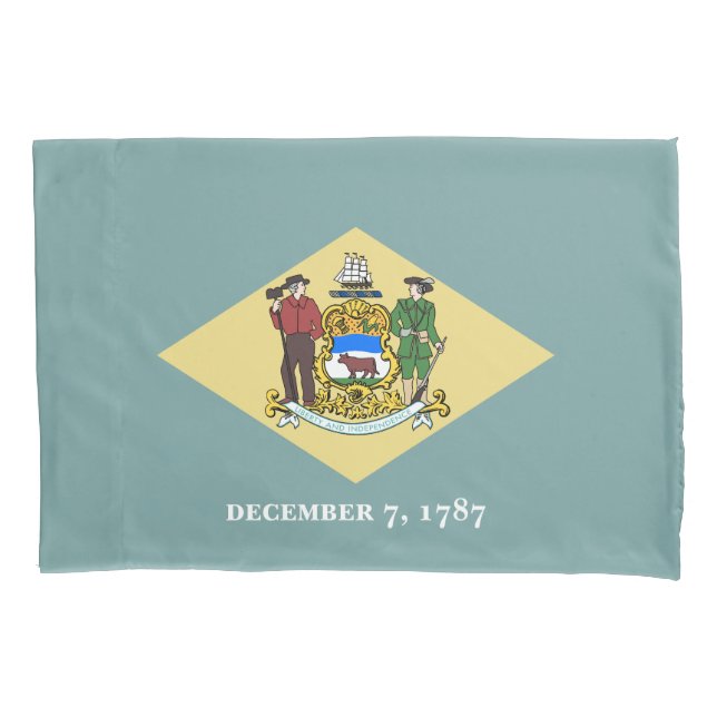 Funda De Cojín Bandera del estado de Delaware (Anverso)