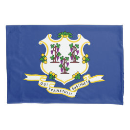 Funda De Cojín Bandera estatal de Connecticut