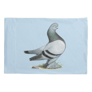 Funda De Cojín Berliner Tumbler Pigeon Blue Bar