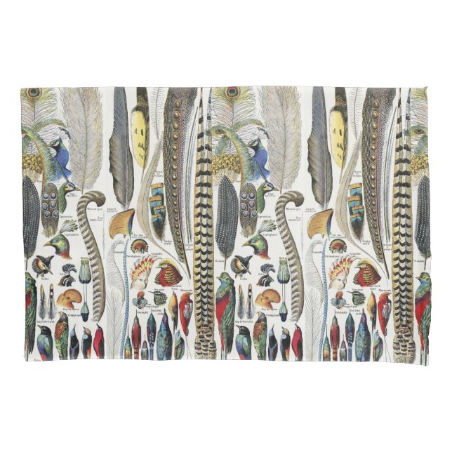Funda De Cojín Bird Feather Wildlife Antique Feathers Art Nouveau (Anverso)