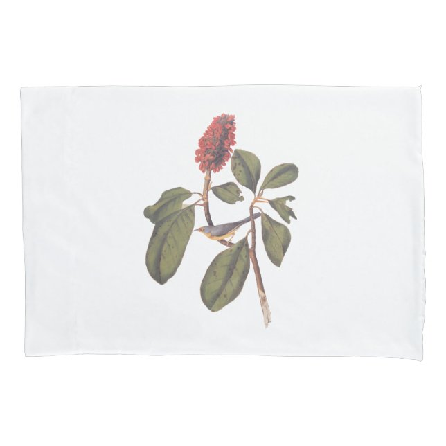 Funda De Cojín Bonaparte Flycatcher Canada Warbler Audubon Bird (Anverso)
