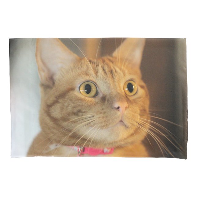 Funda De Cojín Bonito Penny (Anverso)