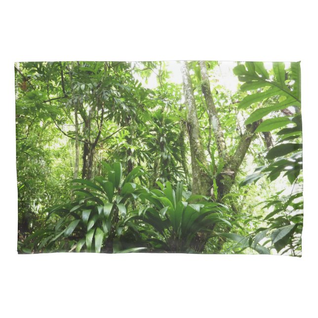 Funda De Cojín Bosque lluvioso dominicano I Naturaleza tropical v (Anverso)