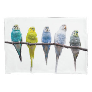 Funda De Cojín Budgies