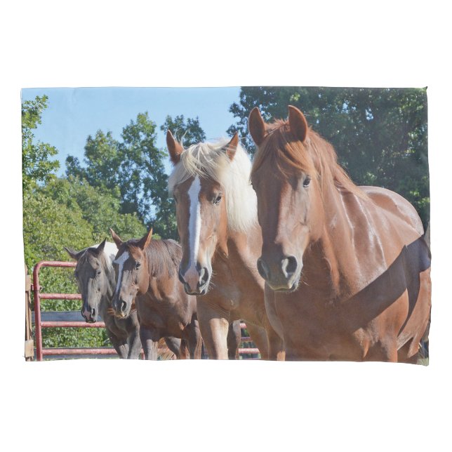 Funda De Cojín Caballos dirigidos de nuevo al granero (Anverso)