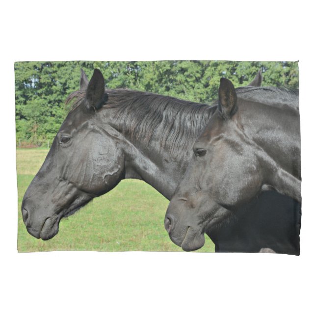 Funda De Cojín Cabezas de Caballo Negro de Perfil Pacífico (Anverso-izquierdo)