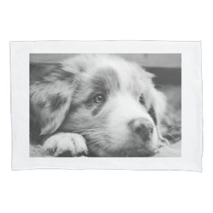 Funda De Cojín cachorro de pastor australiano