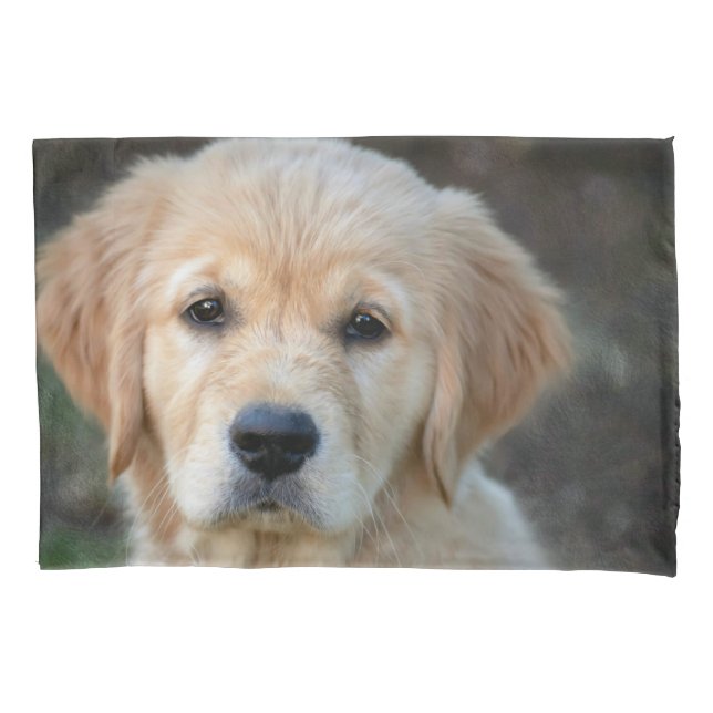 Funda De Cojín Cachorro de raza Retriever Dorado (Anverso)