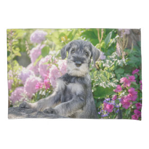 Funda De Cojín Cachorro Schnauzer estándar en un jardín de flor