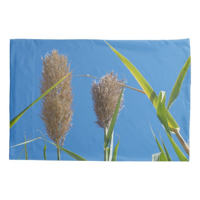 Funda De Cojín Caja de encargo estándar de la almohada (Reverso)