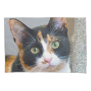 Funda De Cojín Calico Cat
