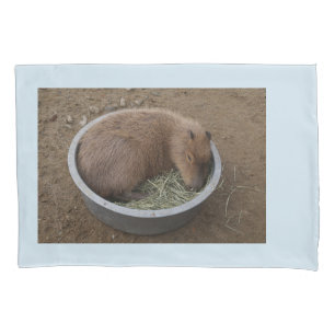 Funda De Cojín Capybara