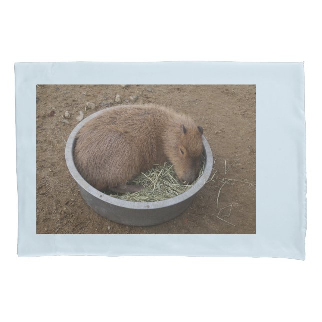 Funda De Cojín Capybara (Anverso)