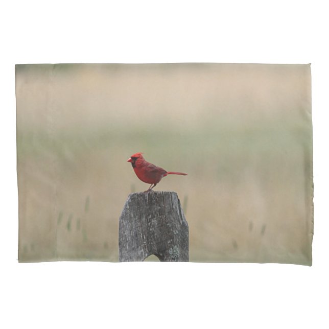 Funda De Cojín Cardenal septentrional (Anverso)