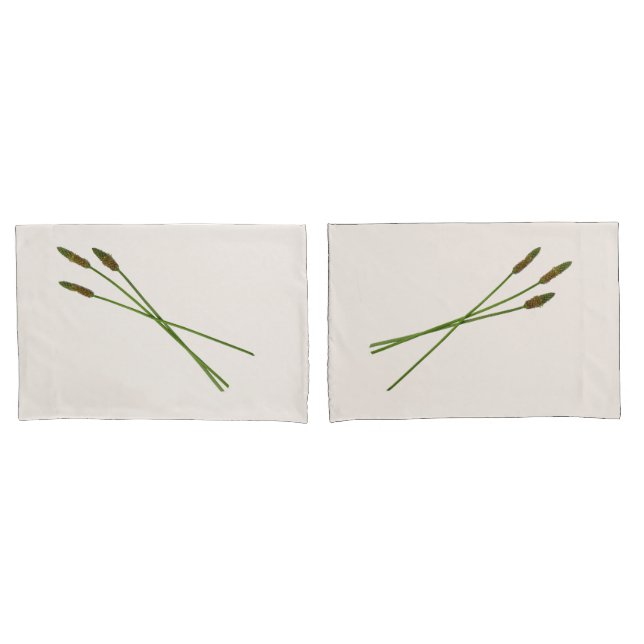 Funda De Cojín Carl Doddy (Anverso - Set)