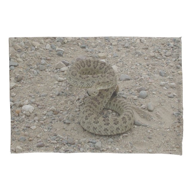 Funda De Cojín Cascabel de pradera R9 enroscada (Anverso)