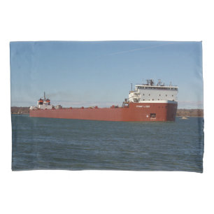 Funda De Cojín Caso de Stewart J. Cort Pillow