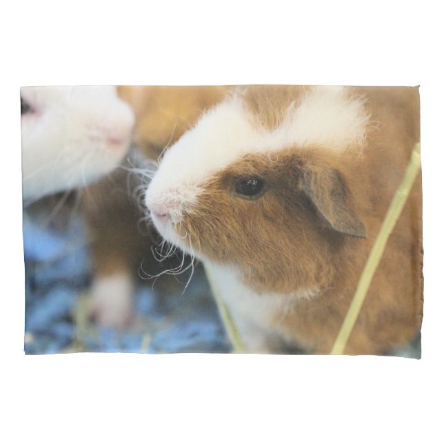 Funda De Cojín Cerdo (Anverso)