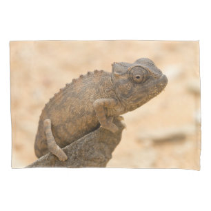Funda De Cojín Chameleon en Namibia