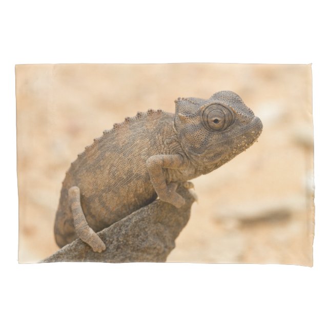 Funda De Cojín Chameleon en Namibia (Anverso)