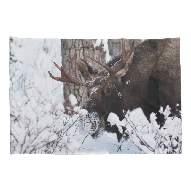 Funda De Cojín Chilly Moose (Reverso-derecho)