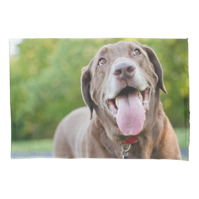 Funda De Cojín Chocolate Lab Dog (Anverso)