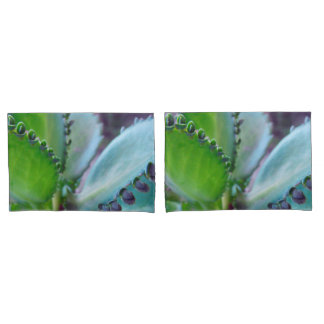 Funda De Cojín Colores de Kalonchoe