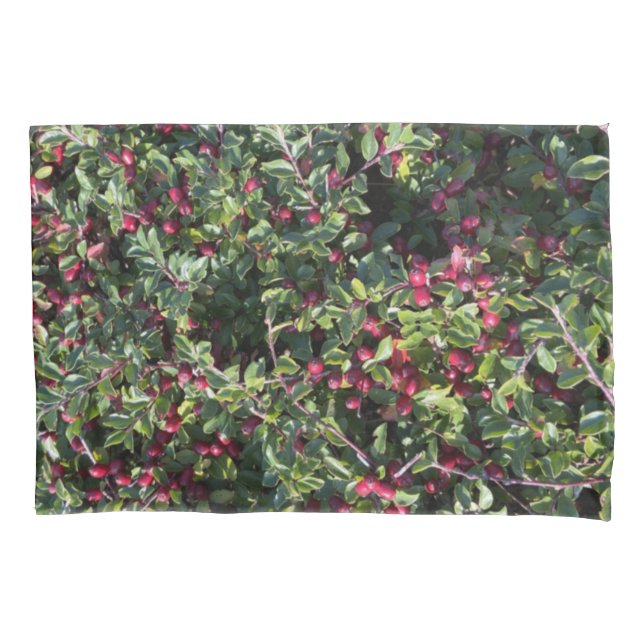 Funda De Cojín Cotoneaster horizontalis rojo naranja bayas cobert (Anverso)