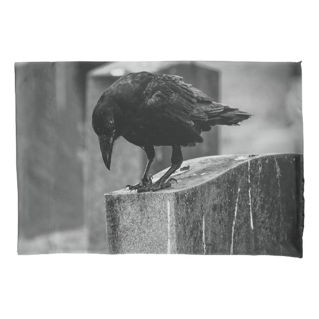 Funda De Cojín Crow en el cementerio caído (Anverso)