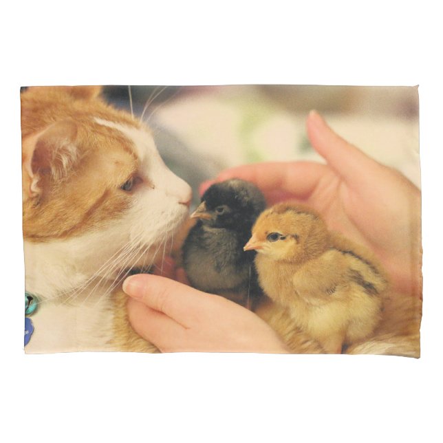 Funda De Cojín Cuadros (Anverso)