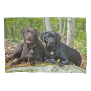 Funda De Cojín Cute perros de chocolate Laboratorio de Labrador N