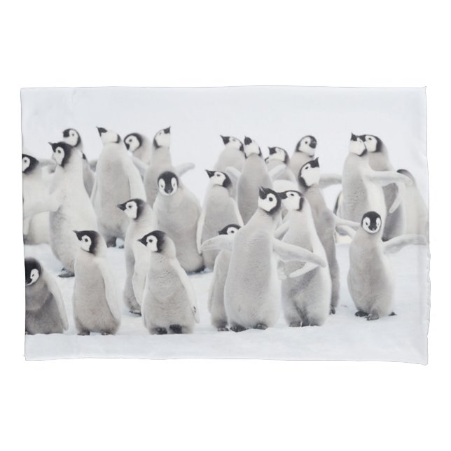 Funda De Cojín Cutest Baby Animals | Emperor Penguin Chicks (Anverso)