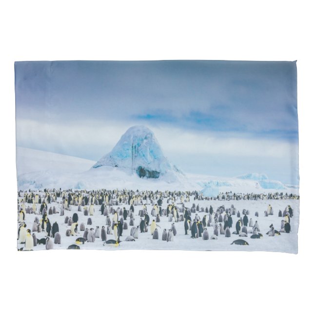 Funda De Cojín Cutest Baby Animals | Emperor Penguin Colony (Anverso)
