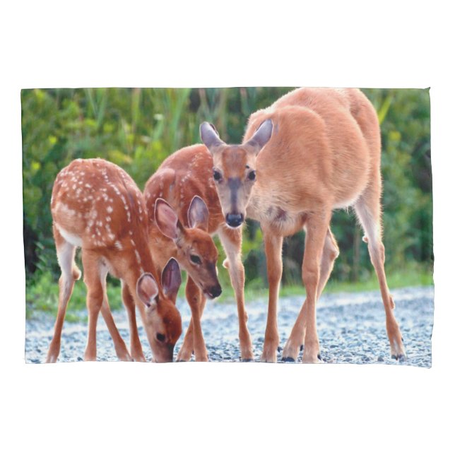Funda De Cojín Cutest Baby Animals | Fawn with Babies (Anverso)