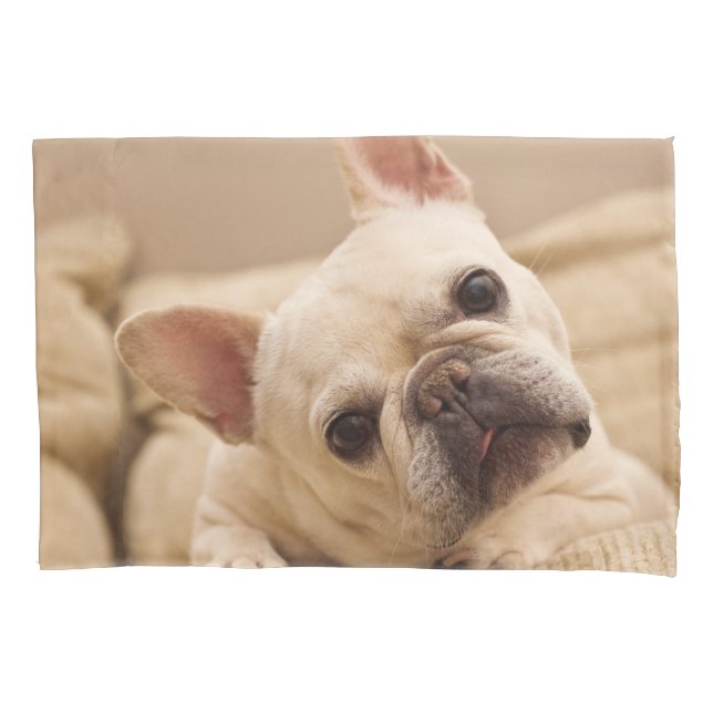 Funda De Cojín Cutest Baby Animals | French Bulldog Head Tilt (Anverso)