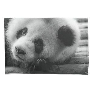 Funda De Cojín Cutest Baby Animals Giant Panda Bear Cub