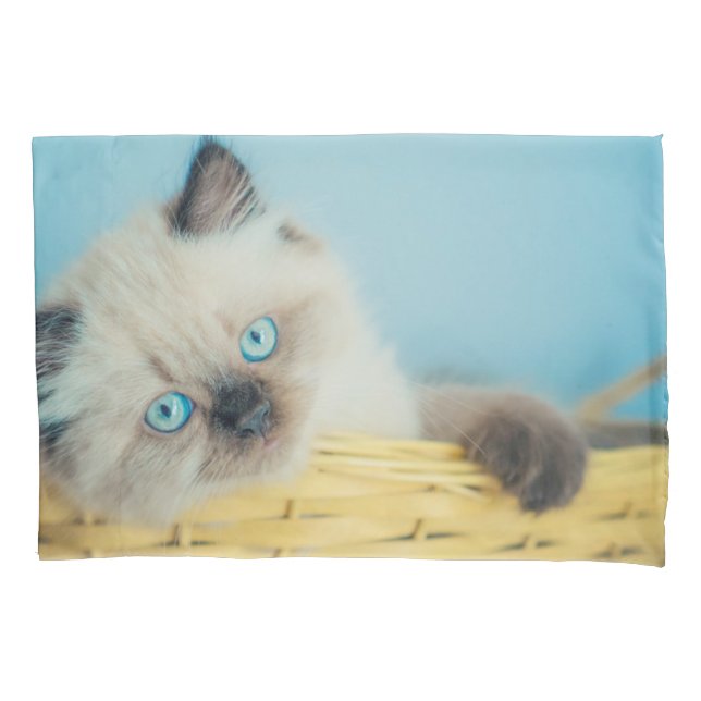 Funda De Cojín Cutest Baby Animals | Himalayan Seal Point Cat (Anverso)