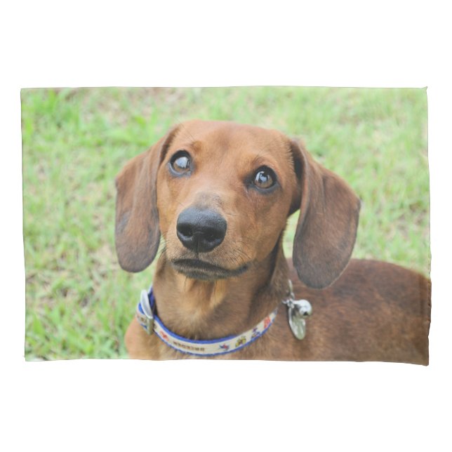 Funda De Cojín Dachshund (Anverso)