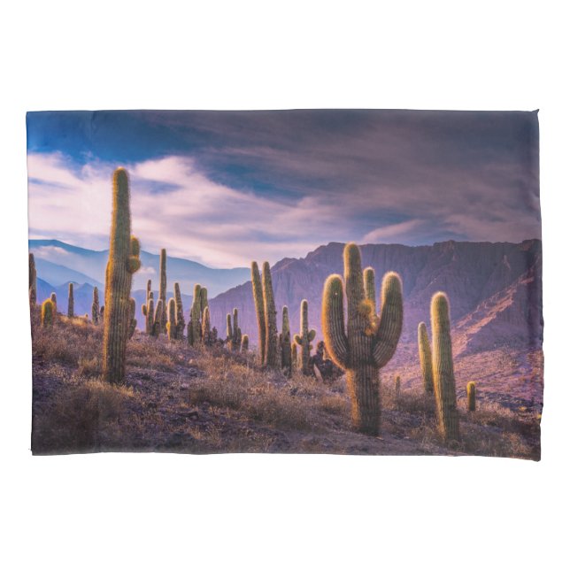 Funda De Cojín Desiertos | Paisaje Cactus Argentina (Anverso)