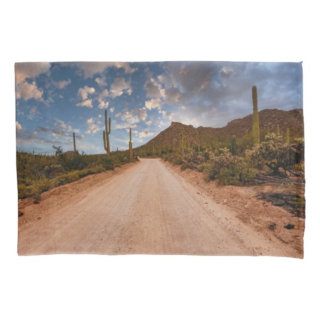Funda De Cojín Desiertos | Parque nacional Saguaro Arizona (Anverso)