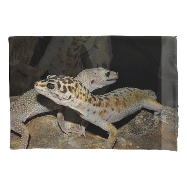 Funda De Cojín ¡Diseño del gecko del leopardo para todos! (Anverso)