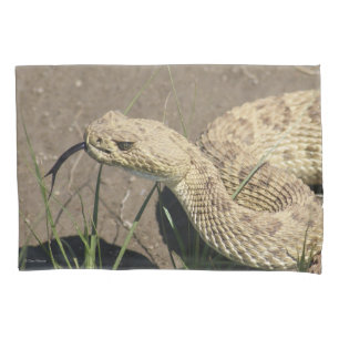 Funda De Cojín Disparo en la cabeza de serpiente de cascabel de R