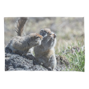 Funda De Cojín Dos ardillas de tierra lindas (Gopher, evrazki)