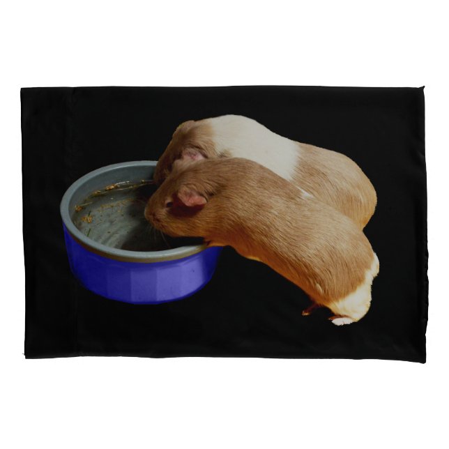 Funda De Cojín Dos Cerdos De Guinea Marrón Y Blanco, (Anverso)