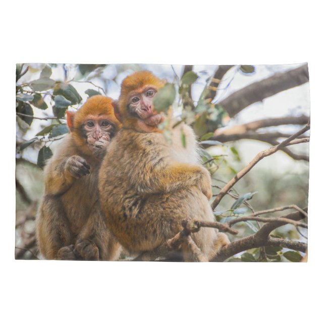 Funda De Cojín Dos monos cortos (Reverso)